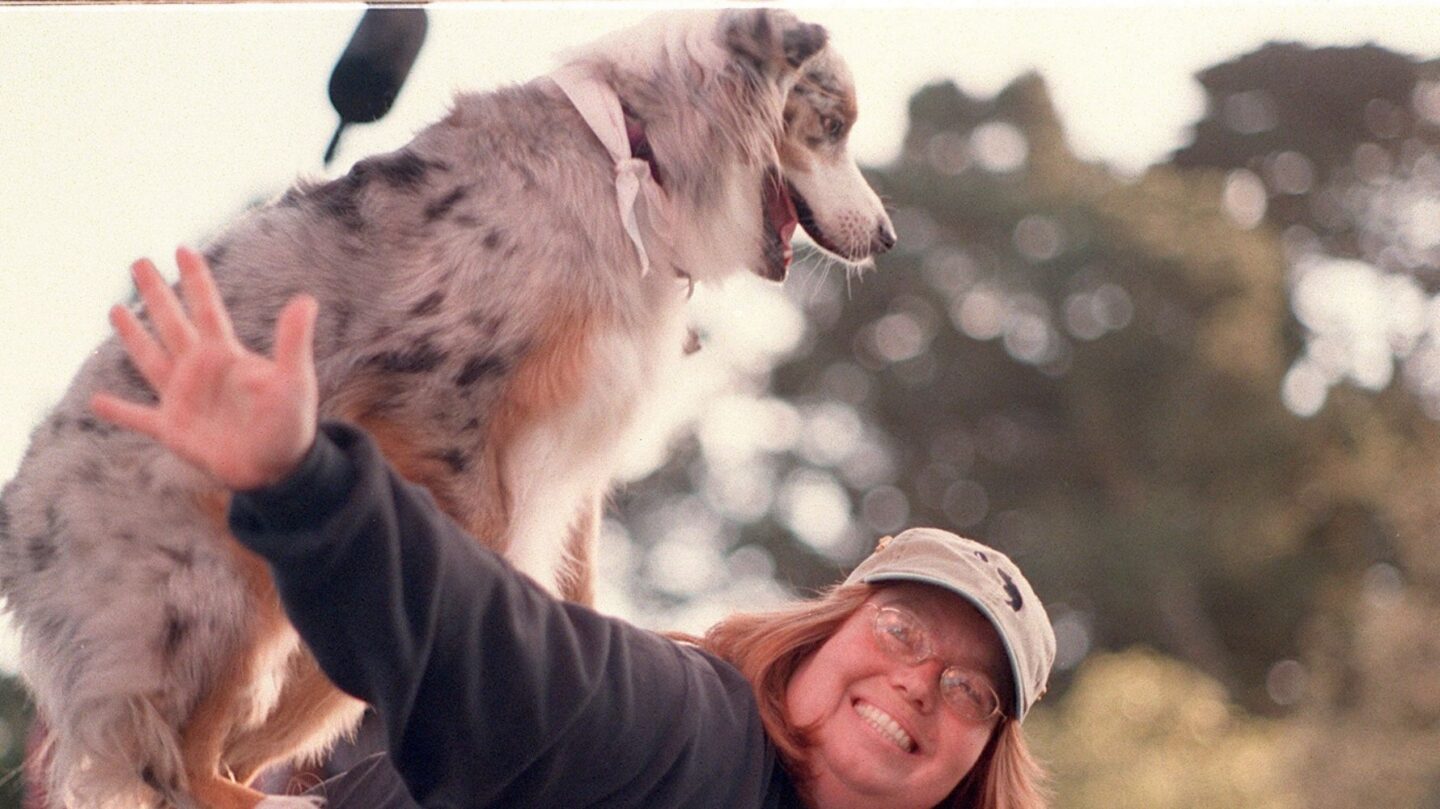 27 Social Dog Breeds That Love Being Around Their Owners