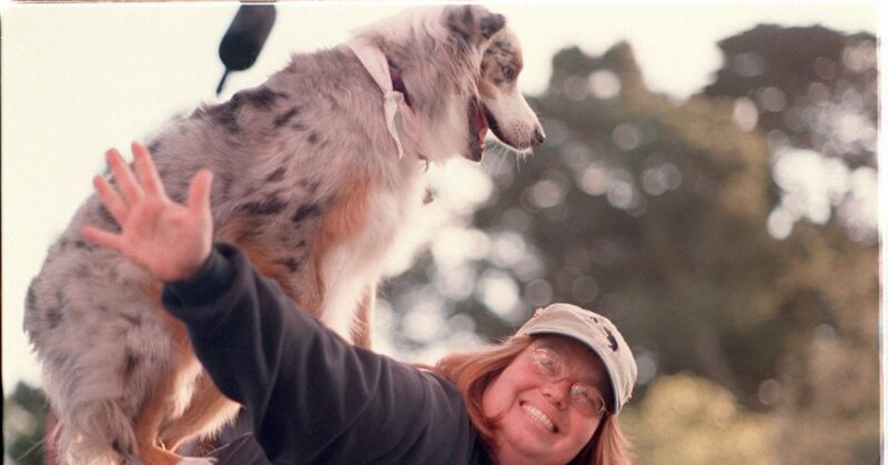 27 Social Dog Breeds That Love Being Around Their Owners