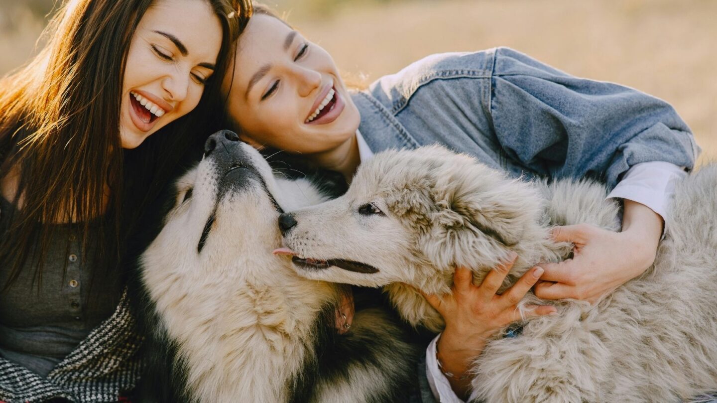 28 Low Maintenance Dog Breeds That Are a Joy to Live With