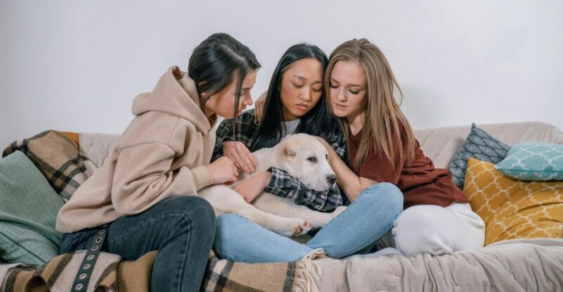 10 Sentiments Many Owners Imagine from Their Dogs After Theyre Gone