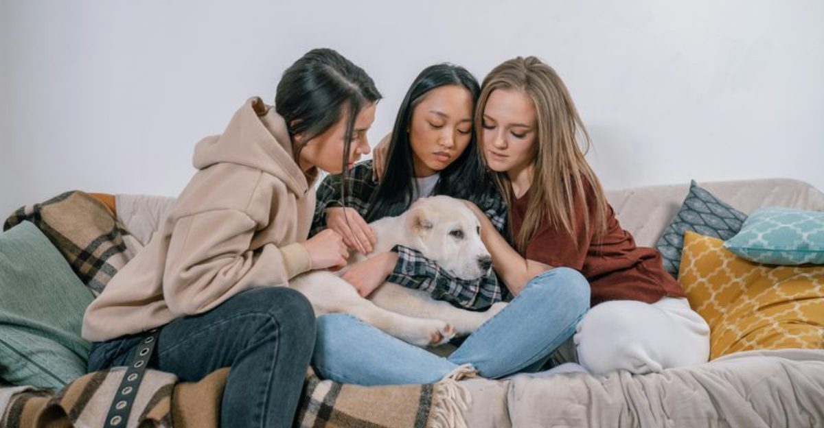 10 Sentiments Many Owners Imagine from Their Dogs After Theyre Gone