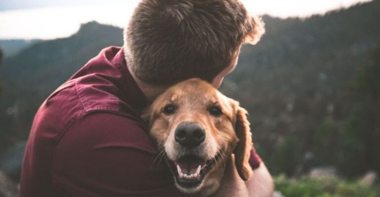 11 Loyal Large Dog Breeds That Rarely Leave Their Owners Side dog news