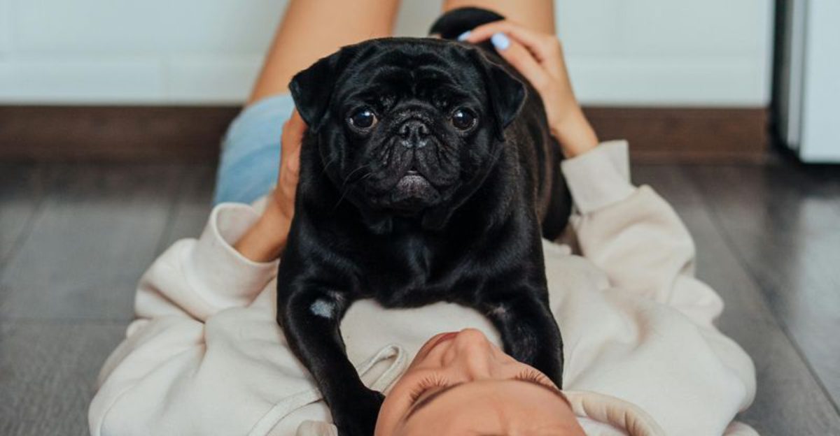 13 Friendly Dog Breeds That Never Seem to Run Out of Hugs