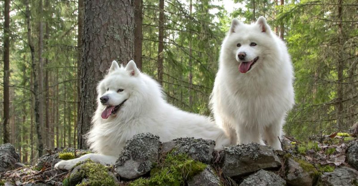 18 Incredibly Kind Hearted Dog Breeds That Warm Up to Everyone Instantly