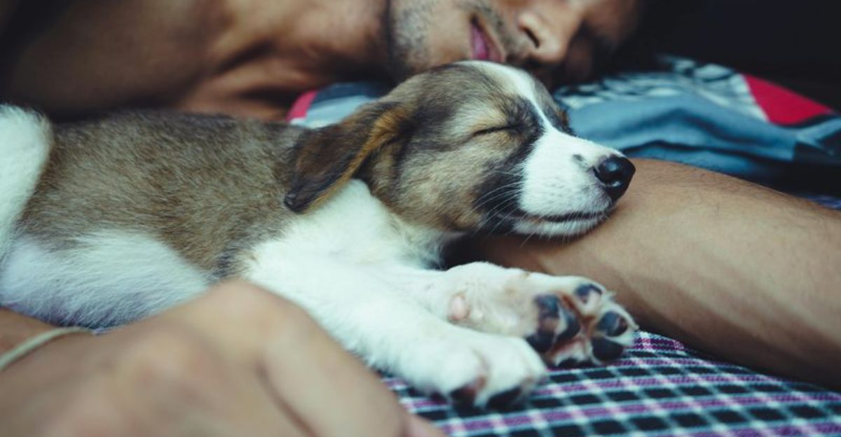 9 Little Things Your Dog Does That Secretly Mean I Love You