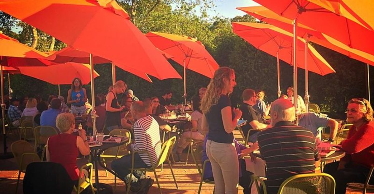 7 Dog Friendly Downtowns in Connecticut Where You Can Walk Shop and Grab a Bite