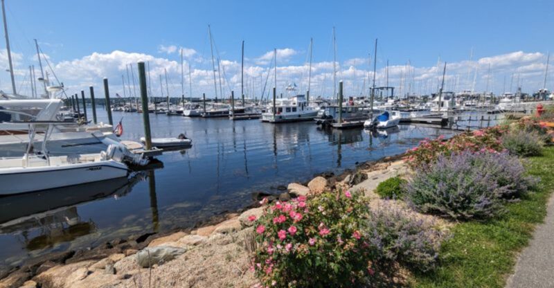7 Dog Friendly Small Towns in Rhode Island That Turn a Quick Trip Into a Full Day Out