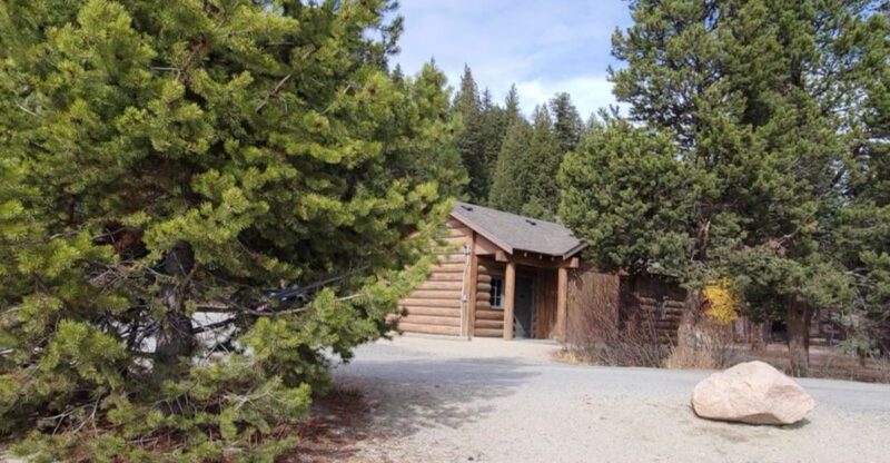 8 Dog Friendly Campgrounds in Idaho With Space Scenery and Easy Trails Nearby