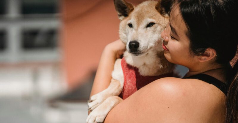 People Online Call These Dogs Velcro 10 Breeds That Just Love Being Close