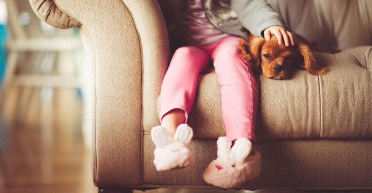 Stop Guessing Your Dogs Needs 10 Breed Groups That Behave Totally Differently