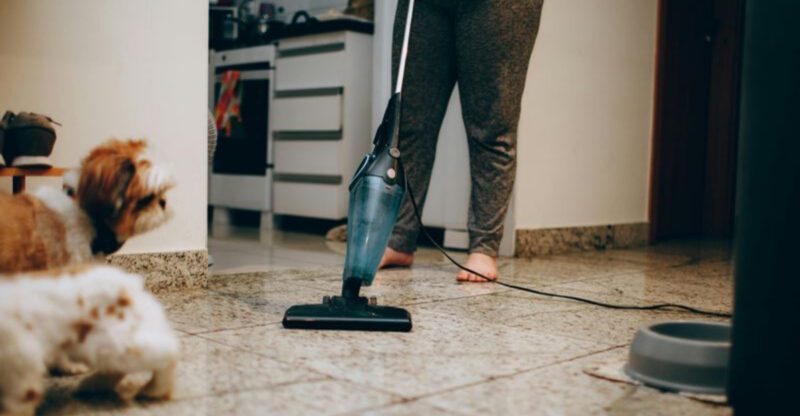 10 Expert Approved Ways to Eliminate Pet Odors From Your Home