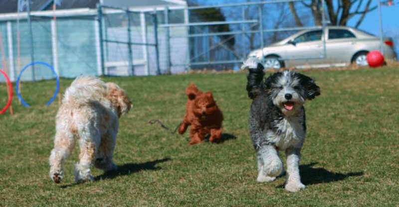 Hes Just Excited Is Hiding Overstimulation 14 Behaviors That Should Make You Pause