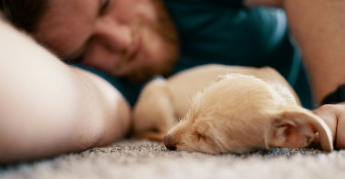 11 things you correct in your dog that are actually signs of love