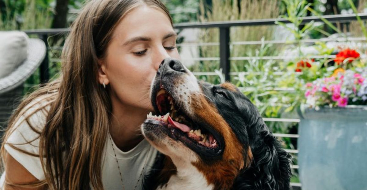15 dog breeds that stick by you when everyone else is busy
