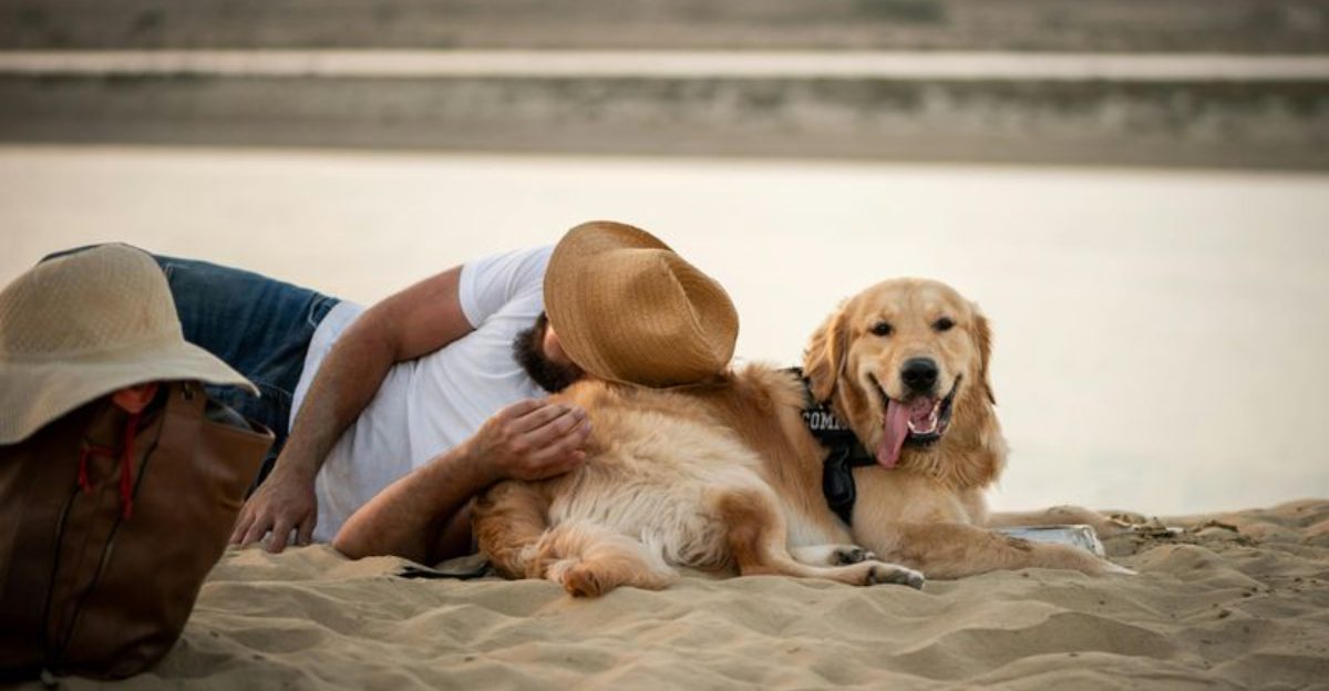 If your dog sleeps glued to you it might be one of these 13 breeds