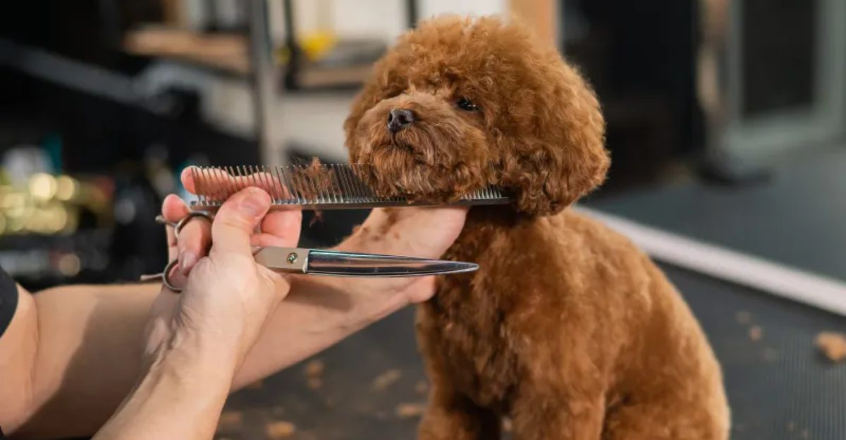 Stop doing these 10 things if you love your dog