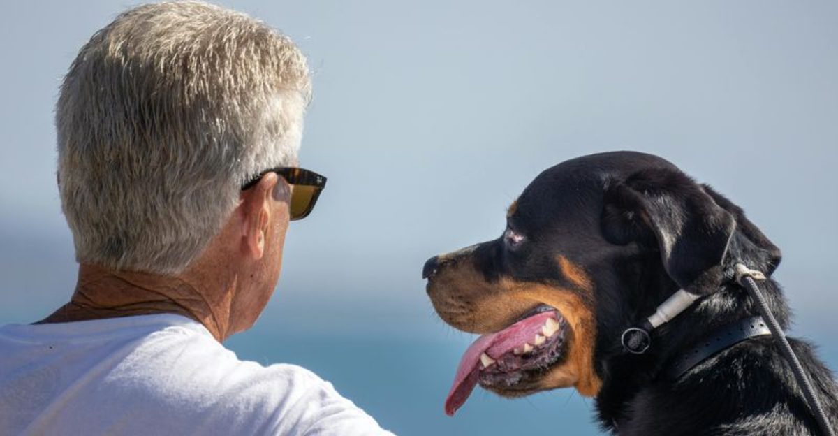 When things go wrong these 10 dog breeds are the ones you want by your side