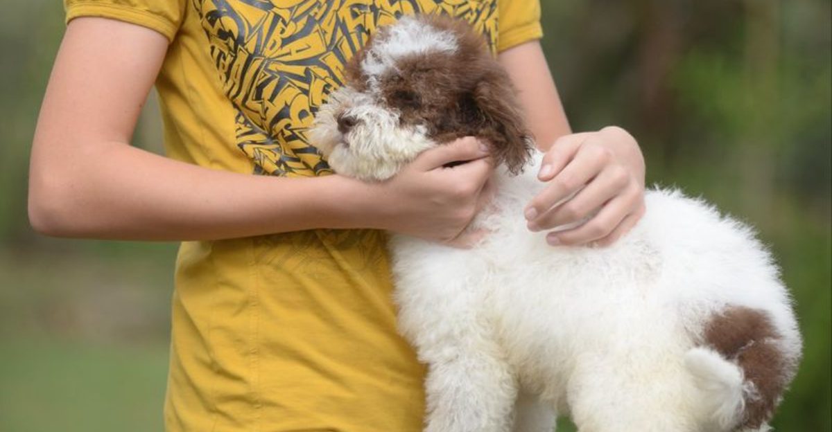10 everyday smells dogs avoid and 4 they naturally love