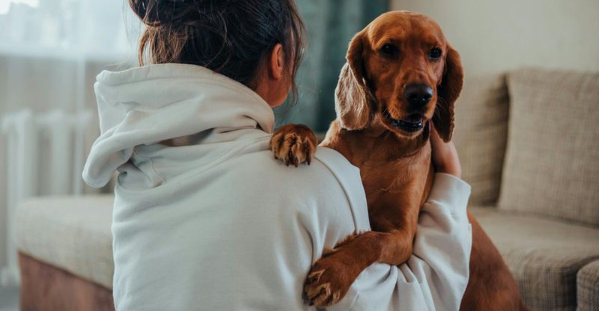 13 reassuring signs your dog is happier than most pets ever become