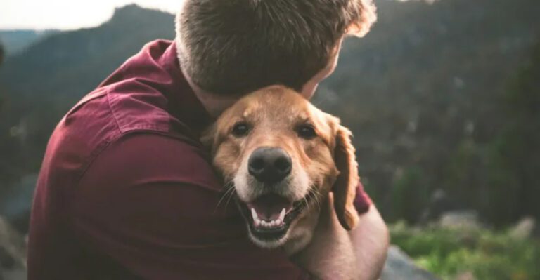 These 8 common sounds can make dogs uneasy fast while these 4 have the opposite effect dog news