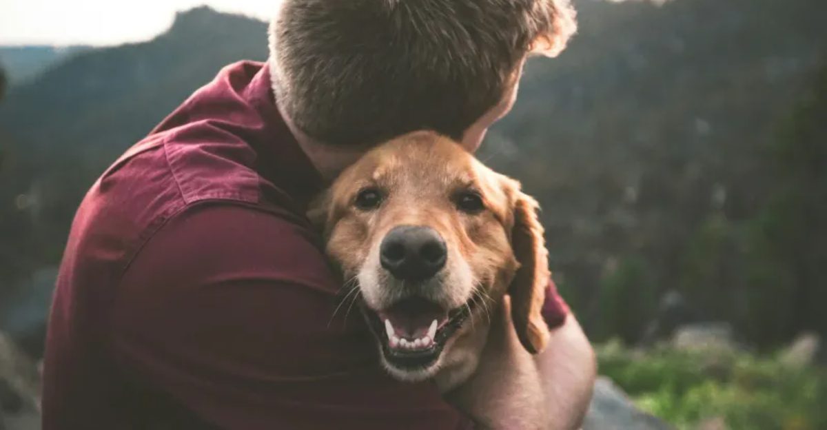 These 8 common sounds can make dogs uneasy fast while these 4 have the opposite effect