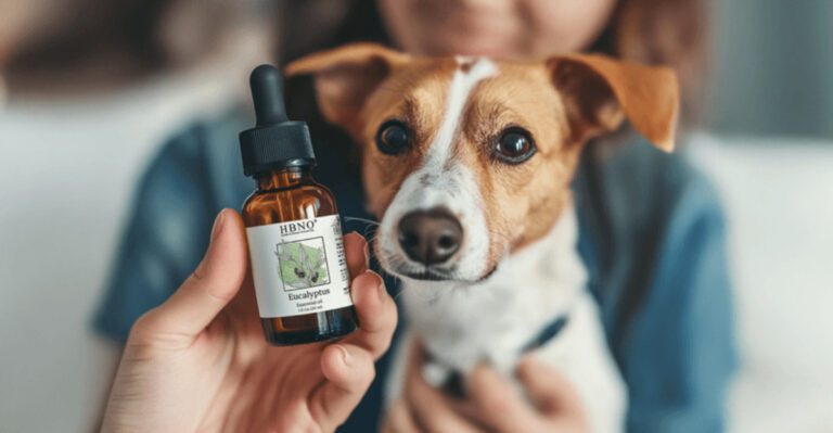 Your dogs nose knows best These 10 smells are best avoided while these 4 are pure happiness dog news