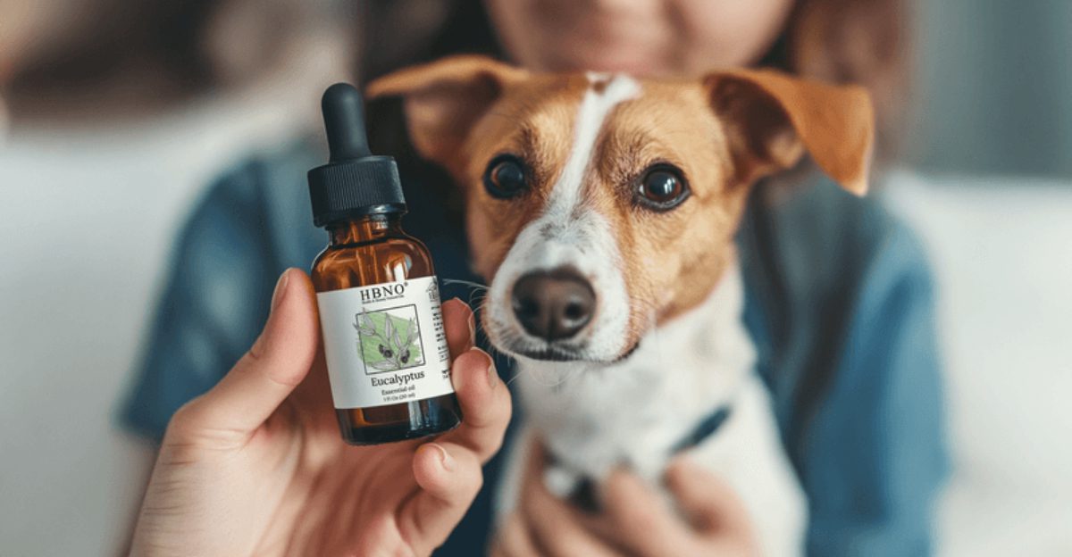 Your dogs nose knows best These 10 smells are best avoided while these 4 are pure happiness