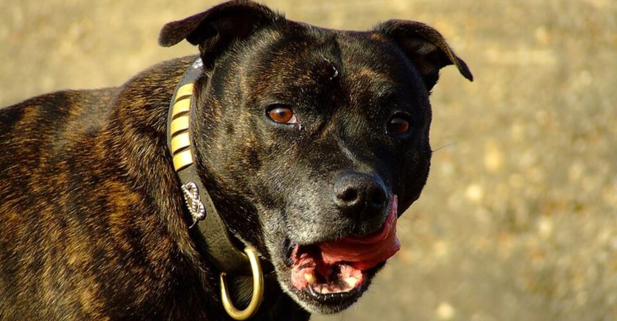 featured image 7183038b62f1 ddf49efcfbc2