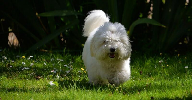 featured image 9633ade81d5d