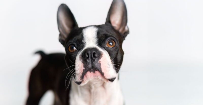 featured image d85673e20743 e5973d6f3951