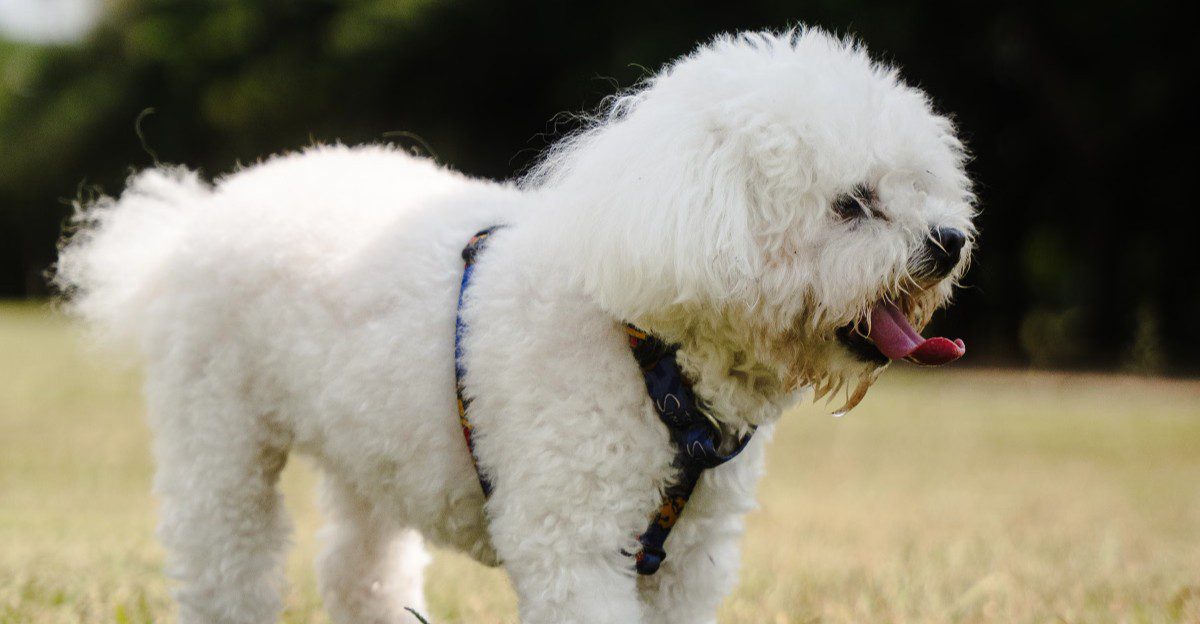 featured image 9af1e99162b1 2b3e43aeea5c