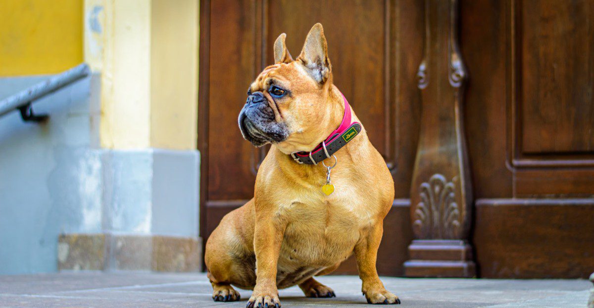 featured image 632c0caa0798 4c0d9429a6d0